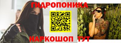 тгк Кимры